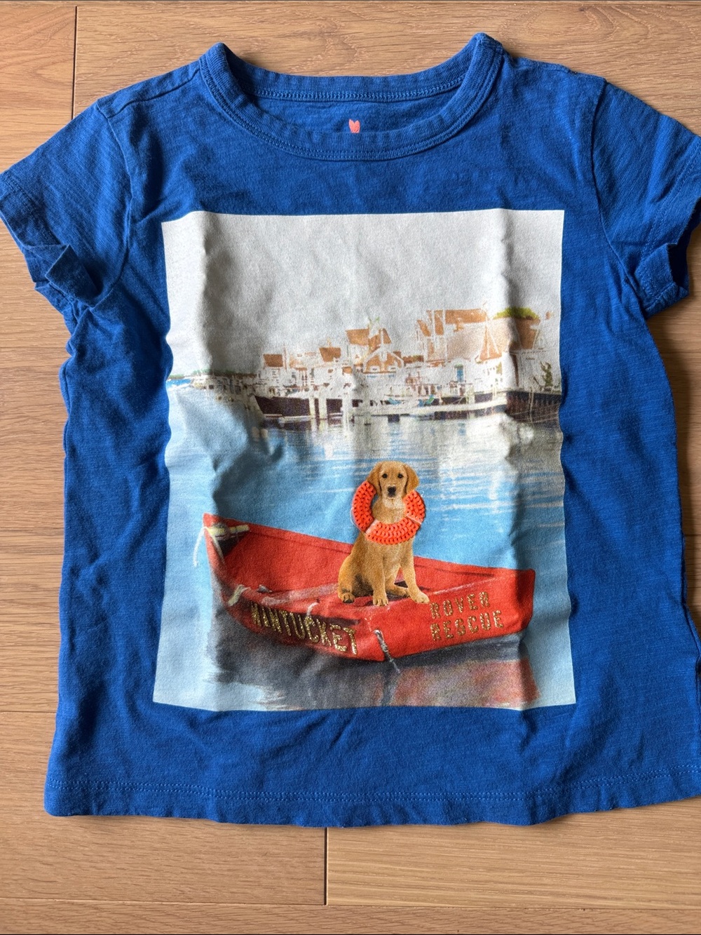 Crewcuts Blue Short Sleeve Tee with Puppy in Red Boat Graphic